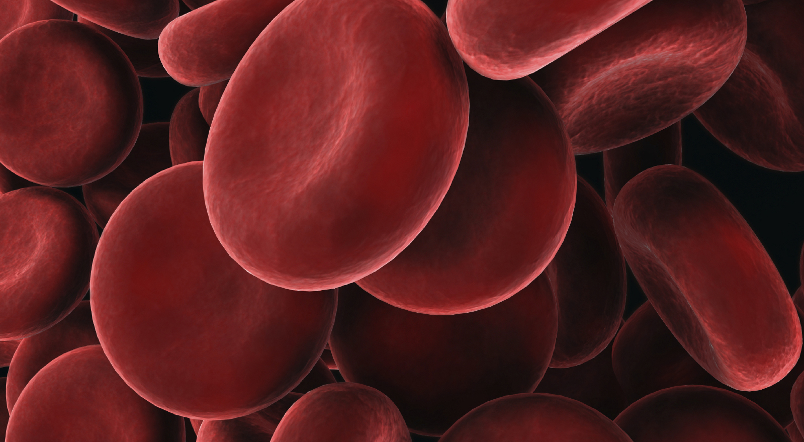 a long way gone vs blood a long way gone vs blood